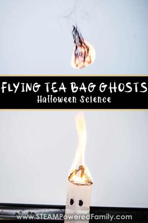 Tea Bag Experiment, Tea Bag Ghost Experiment, Flying Tea Bag Ghosts, Fire Science, Halloween Flying Ghost, Halloween Experiments, Ghost Bag, Homeschool Science Experiments, Floating Ghosts