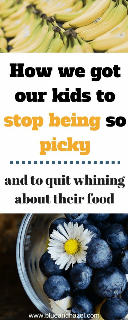 Blending Families, Try New Foods, Picky Toddler Meals, Snacks Kids, Picky Toddler, Picky Eaters Kids, Picky Kids, Picky Eating, Meal Times