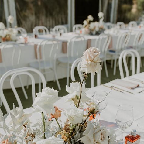 Our White Bentwood Chairs will elevate the elegance of any table setting. 🤍 Inquire now for availability! 📩 Leave us an inquiry on our website or email us at info@adelaideweddinghire.com Bentwood Chairs Wedding, White Bentwood Chairs, Chairs Wedding, Haim, Bentwood Chairs, Wedding Hire, Wedding Chairs, Table Setting, Custom Wedding