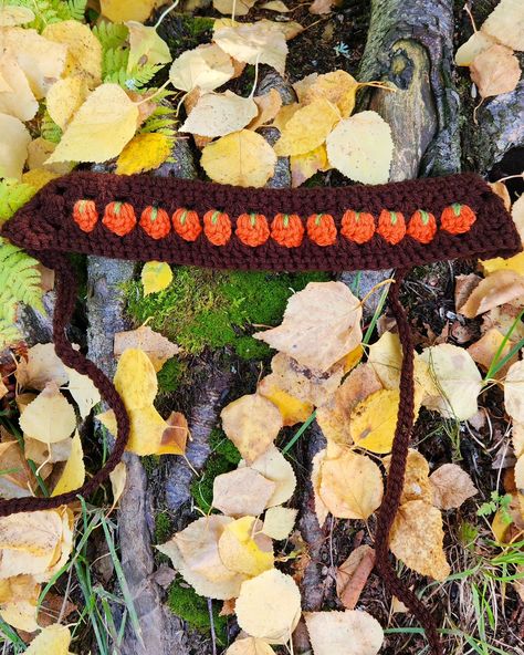 The 'ber months are here, time for pumpkin EVERYTHING 🎃💛🧡 This is my latest headband pattern, if you apply to test my 🍏Apple Scruff Headband🍎 you will get this Pumpkin Headband pattern for free! Just follow the link in my bio, I'll be choosing the final group on the 4th 🧡🤎💛 #fyp #crochet #crochetaddict #patterntest #crochetpattern #fall #pumpkin #pumpkinspice #fallpumpkins #crocheterstofinstagram Crochet Pumpkin Headband, Pumpkin Headband, Crochet Projects To Sell, Ber Months, Pumpkin Everything, Crochet Pumpkin, Headband Pattern, Crochet Headband, Crochet Ideas