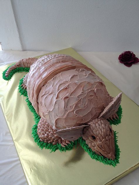 Armadillo Cake, Bakers Square, Steel Magnolias, Texas Style, Decorated Cakes, Best Chef, Grooms Cake, Bread Dough, 40th Anniversary