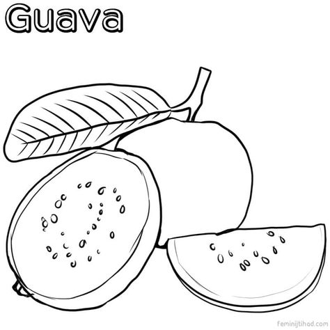 guava coloring page Guava Pictures, Guava Drawing, Fruit Coloring, Sunflower Coloring Pages, Lego Coloring, Lego Coloring Pages, Guava Fruit, Guava Juice, Fruit Coloring Pages