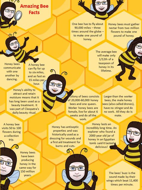 Bee Facts For Kids, Poster Template Free, Teacher Planning, Animal Science, Facts For Kids, Learning Ideas, Honey Bees, Save The Bees, Science Teacher