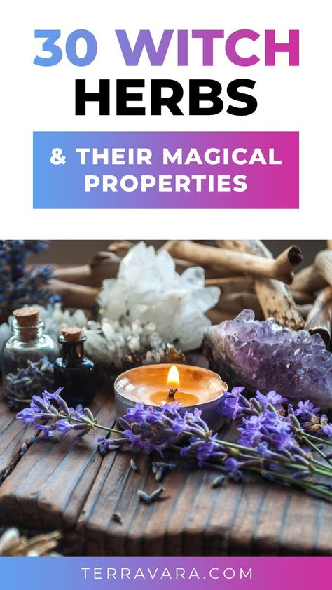 Witch herbs and their magical properties. Herbs Magical Uses, Lucky Herbs Witchcraft, Spiritual Herbs Witches, Witchy Herbs And Spices, Herb Magical Properties List, Flowers Magical Properties, Witch Craft Herbs, Cornflower Magical Properties, Herbs Magical Properties