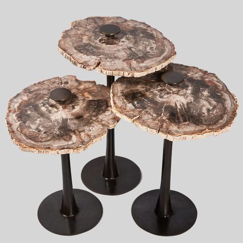 Table Trays, Bronze Lighting, Collection Design, Petrified Wood, Wood Sizes, Tray Table, Furniture Design Modern, Tiered Cake Stand, Interior Furniture