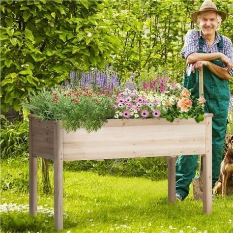 Raised Garden Bed with Legs Planter Box for Vegetables Herb Rectangle The raised garden bed with legs planter box is a great way to cultivate plants like vegetables, flowers, and herbs in your patio, yard, garden, and greenhouse. The bottom of the planting bed has a drainage hole that provides oxygen and ventilation for your plants to grow more healthily. The natural wood grain on the boards adds a rustic and natural style to your garden. The natural color makes your garden or greenhouse more or Vegetable Garden Boxes, Wood Garden Beds, Wood Raised Garden Bed, Elevated Planter, Elevated Garden, Wooden Raised Garden Bed, Wooden Garden Bed, Elevated Planter Box, Elevated Gardening