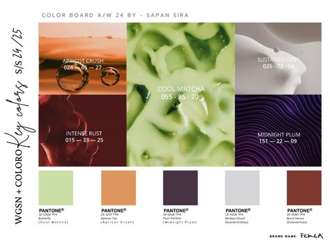 Cool Matcha Wgsn, Wgsn Aw24/25, Midnight Plum Fashion, Intense Rust Color, Fw24 Menswear, Apricot Crush, Midnight Plum, Passion Work, Color Forecasting