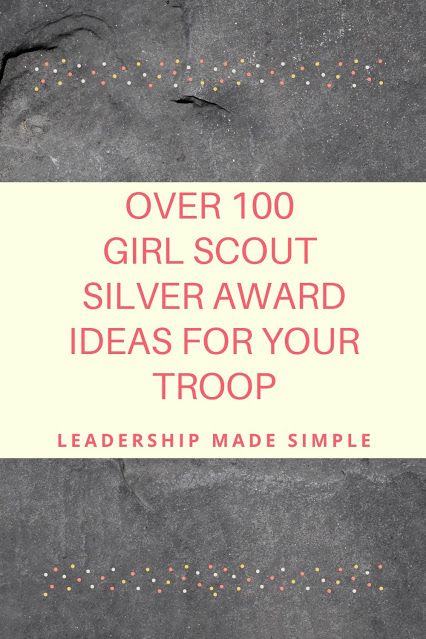 Cadette Silver Award Ideas, Cadette Meeting Ideas, Silver Award Ideas Cadette, Girl Scout Cadette Meeting Ideas Fun, Girl Scout Silver Award Ideas, Cadette Girl Scouts, Cadette Badge Ideas, Cadette Journey, Cadette Girl Scout Badges