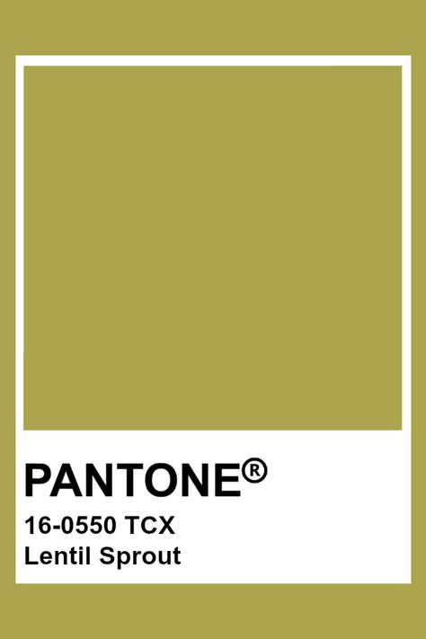 Tcx Pantone, Golden Cypress, Pantone Verde, Pantone Tcx, Pantone Green, Pantone Color Chart, Pantone Swatches, Wedding Color Pallet, Pantone Palette