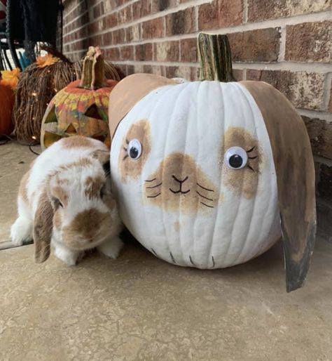 Painted Animal Pumpkins, Bunny Pumpkin Painting, Farm Animal Pumpkins Painting, Pumpkin Painting Ideas Farm Animals, Animal Painted Pumpkins, Farm Animal Pumpkins, Farm Animal Pumpkin Decorating, Painted Pumpkin Farm Animals, Fun Pumpkin Painting Ideas