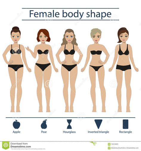 Body Shape Chart, Body Shapes Women, Dress For Body Shape, Types Of Body Shapes, Inverted Triangle Body Shape, Shape Chart, Rectangle Body Shape, Triangle Body Shape, Triangle Vector