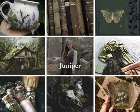 Just a moodboard for my character Juniper. Juniper Aesthetic, Green Witch Aesthetic, Character Moodboard, My Character, Witch Aesthetic, Witchy Woman, Green Witch, Grimm, Mood Boards