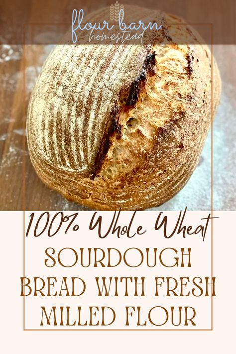 100% Whole Wheat Sourdough Bread with Fresh Milled Flour. Whole wheat Bread Recipe. Whole wheat sourdough bread. Whole wheat sourdough starter. Whole wheat flour recipes. Whole wheat sourdough sandwich bread. Whole wheat sourdough bread recipe. Whole wheat sourdough recipes. Sourdough with fresh milled flour. Fresh mulled sourdough bread. Fresh milled flour sourdough. Fresh milled sourdough bread starter. Sourdough starter with fresh milled flour. Rustic Sourdough Bread Recipe, Sourdough Rye, Whole Wheat Sourdough, Sourdough Recipe, Whole Grain Flour, Sourdough Bread Recipe, Sourdough Baking, Whole Wheat Bread, Fool Proof Recipes