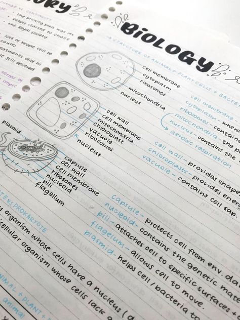 𝑷𝒊𝒏𝒕𝒆𝒓𝒆𝒔𝒕: 𝒉𝒐𝒏𝒆𝒆𝒚𝒋𝒊𝒏 ❀ Notes Inspo, College Notes, Organization Notes, Note Ideas, Bullet Journal Notes, Science Notes, School Organization Notes, Aesthetic Notes, Biology Notes