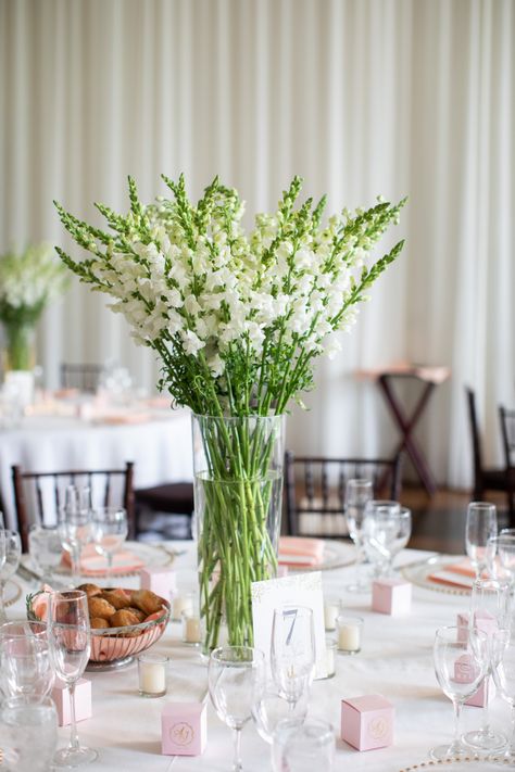 Snap Dragon Wedding Centerpieces, Snapdragon Arrangements, Snapdragon Centerpiece, Snapdragon Wedding, Diy Tall Vase, Snapdragon Garden, Round Table Centerpieces Wedding, White Snapdragon, Tall Vase Centerpieces