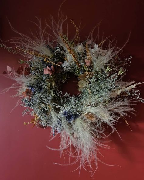 GRACE & THORN on Instagram: “WREATHS ARE NOT JUST FOR CHRISTMAS #graceandthorn” Dandelion, Christmas Wreaths, Herbs, Holiday Decor, Plants, Flowers, Christmas, On Instagram, Instagram