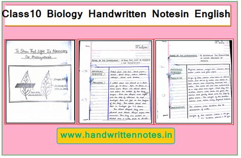 Class 11 Biology Notes, Notes In English, Class 11 Biology, Short Notes, Government Website, Cell Cycle, Dear Students, Study Flashcards, Chemistry Class