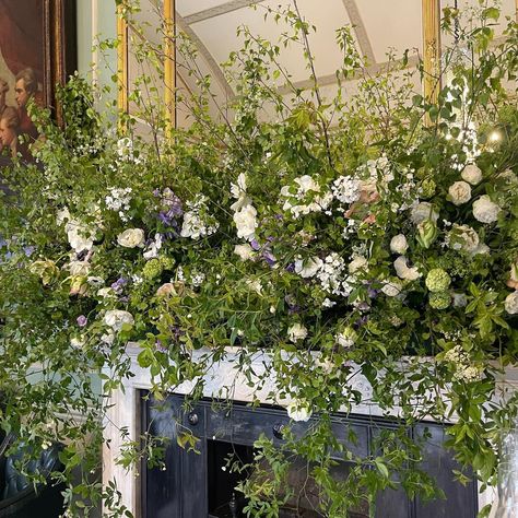 Trailing Roses, Mantel Flowers, Flower Installation, The Natural World, Sweet Peas, Natural World, Floral Decor, Thank You So Much, Focus On