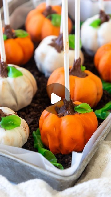 Chelsey White on Instagram: "Pumpkin Patch Cake Pops 🎃

Had so much fun making these & am still not over how cute they turned out 😍 The recipe is linked in my bio or you can google chelsweets pumpkin cake pops #pumpkin #cakepops" Halloween Cake Pops Pumpkin, Cake Pops Recipe Pumpkin, Cake Pop Pumpkins, Cake Pops For Halloween, Pumpkin Cake Pops Recipe, Fall Cake Pops Ideas, Cake Pops Pumpkin, Pumpkin Cake Balls, Cake Pops Halloween