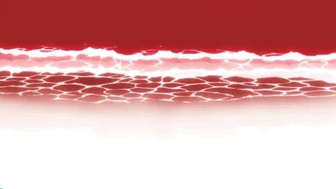 Red Anime Header Gif, Pink And Red Banner Gif, Red White Banner Discord, Dark Red Banner Aesthetic, Red Dividers Discord Png, Red Header Tumblr, Red Discord Header, Red Discord Banners Gifs, Red Pixel Gif