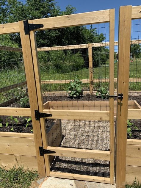 Covered Garden Boxes, Vegetable Garden Deer Proof, Diy Deer Proof Raised Garden Beds, Raised Bed With Fence, Raised Bed Garden Fencing Ideas, Raised Fenced Garden Beds, Deer Fenced Garden, Raised Garden Fence Ideas, Garden Design Deer Proof