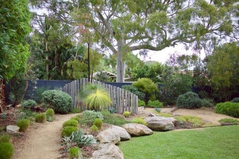 Shrubs For Borders, Creative Gardens, Native Landscaping, Year Round Flowers, Rock Garden Ideas, Australian Gardens, Front Path, Australian Garden Design, Concrete Retaining Walls