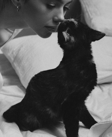 Love Travel, Travel Fashion, You Smile, Animal Memes, Make You Smile, Fashion Art, Black Cat, Tumblr, Bed