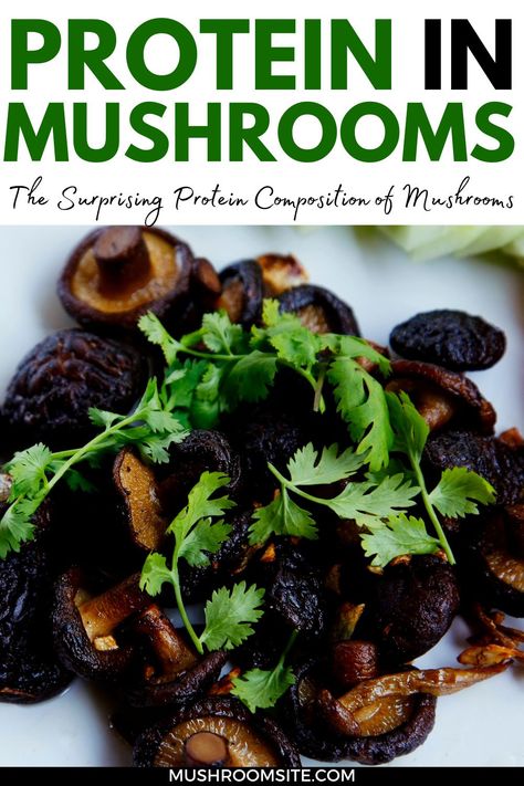 Mushroom Protein, Plant Protein Sources, Mushroom Varieties, Cordyceps Sinensis, Mushroom Tea, How To Cook Mushrooms, Edible Mushrooms, Mushroom Powder, Animal Protein