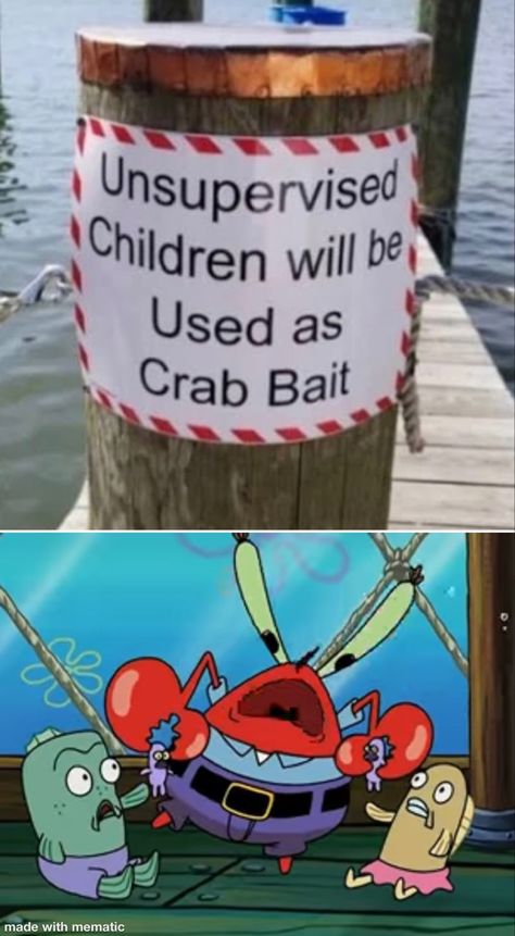 Homemade Krab Meme Crab Meme, Funny Stuff, Crab, Novelty Sign, Memes, Funny, Quick Saves