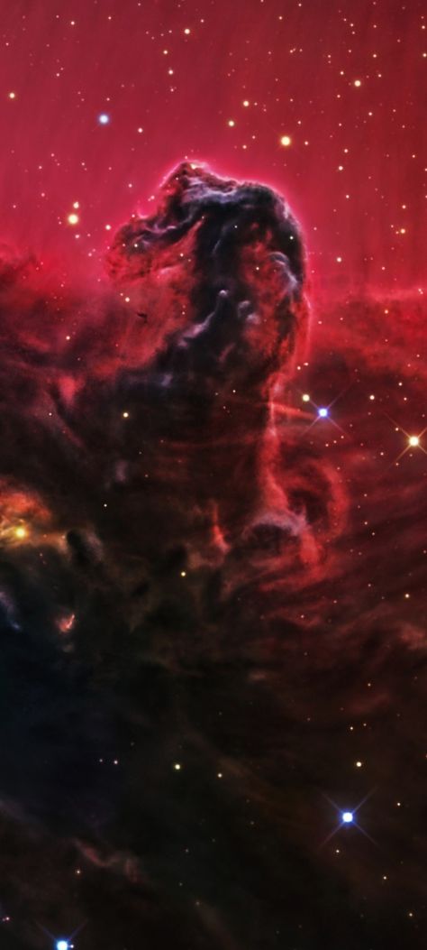 IC-434 the Horsehead Nebula and Flame Nebula by R.J. Gabany Crop mobile wallpaper 1080x2400 Red Nebula, Space Pics, Horsehead Nebula, Biblical Paintings, Space Pictures, Space And Astronomy, Deep Space, Outer Space, Mobile Wallpaper