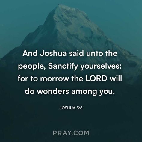 Joshua 3:5 | And Joshua said unto the people, Sanctify yourselves: for to morrow the Lord will do wonders among you. Joshua 3:5, Joshua Bible, Old Testament, Morning Glory, Mother Mary, Daily Prayer, Blessed Mother, Terms Of Service, Christian Inspiration