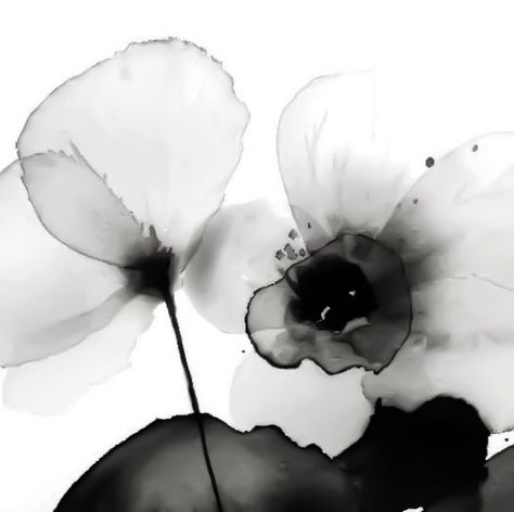 Black And White Theme Aesthetic, Black And White Flowers Aesthetic, Widgets Flowers, Black White Widget, Art White Aesthetic, Black And White Icons Aesthetic, Widget Black And White, White Dark Aesthetic, Black And White Widget