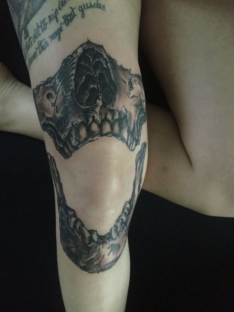 Open Jaw Tattoo, Human Bone Tattoo, Jaw Bone Tattoo Knee, Human Jaw Tattoo, Jawbone Tattoo, Skull Jaw Tattoo, Jaw Knee Tattoo, Jaw Tattoo, Human Mouth