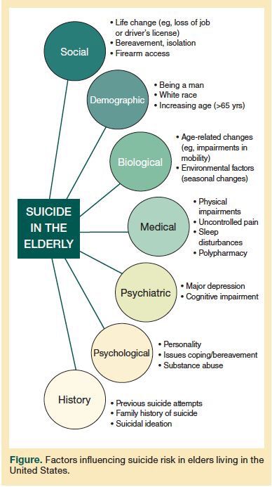 Gerontology Social Work, Geriatric Nursing, Blue Moo, Community Health Worker, Counseling Tools, Student Tips, Clinical Social Work, Community Health, Noam Chomsky