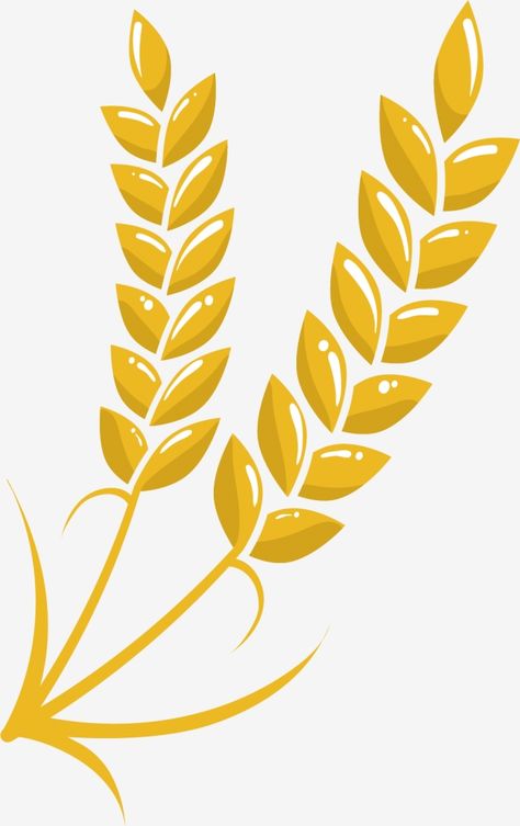 Ear Clipart, Wheat Vector, Beer Background, Golden Rice, Circle Clipart, Field Wedding, Wheat Design, Decorative Borders, Valentine's Day Diy