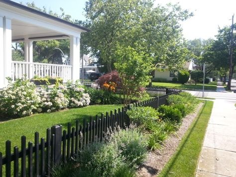 Black picket fence and perennial plantings at property line   By JHLA / Jennifer Horn Landscape Architecture Low Fence Front Yard, Black Picket Fence, Yard Fence Ideas, Low Fence, Wooden Fences, Country Fences, Yard Fence, Black Fence, Lattice Fence