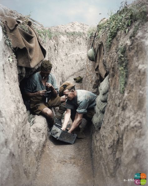 Ww1 Trenches, Battle Of Ypres, Ww1 British, Battle Of The Somme, German History, Western Front, British Empire, Military Uniforms, American Soldiers