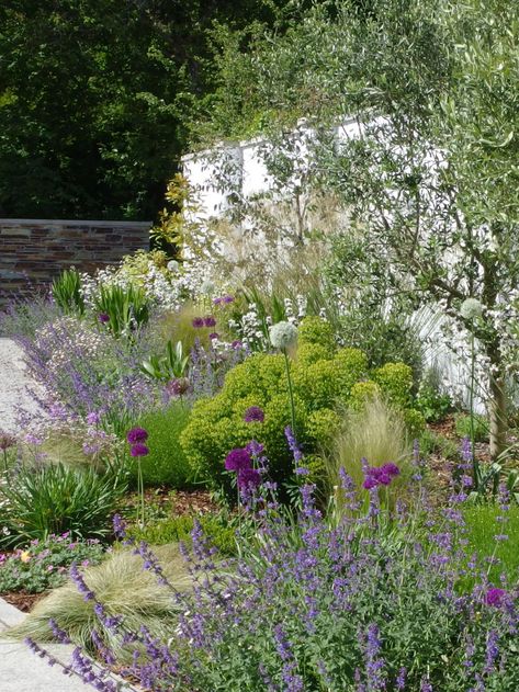 Clifftop Coastal Garden - Jo gardens Cornish Garden, Circular Lawn, Coastal Garden, Front Gardens, Seaside House, Mediterranean Plants, Herbaceous Border, Planting Ideas, Planting Plan