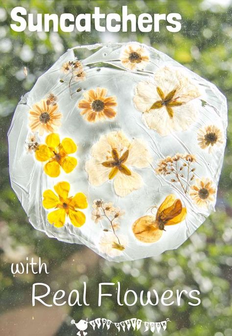 Here's a fun suncatcher flower craft for kids. This unusual method of preserving fresh flowers gives them a gorgeous vintage look that's so pretty on the windows. Preserving Flowers, Kids Craft Room, Suncatcher Craft, Flower Craft, Diy Bricolage, Nature Activities, Craft For Kids, Nature Crafts, Outdoor Art