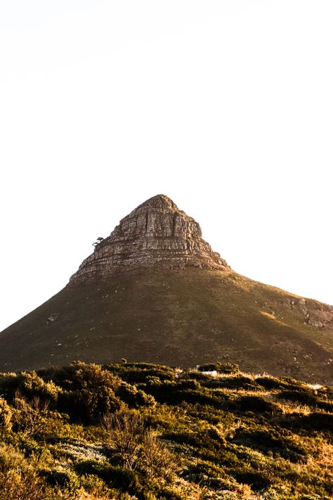 Capetown Photoshoot, Winter Aesthetics, Signal Hill, Shoot Ideas, Mount Rainier, Monument Valley, Monument, Lion, Natural Landmarks