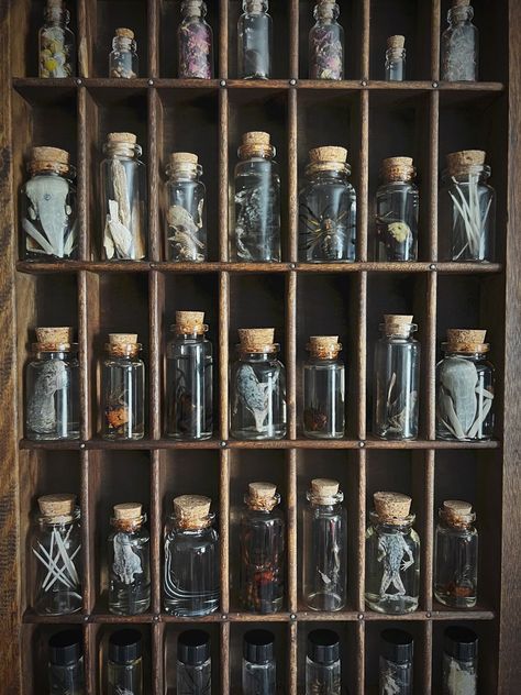 Witch Cabinet, Curio Cabinet Decor, Cabinet Of Curiosity, Halloween Apothecary, Wet Specimen, Black Tissue Paper, Apothecary Cabinet, Witch Shop, Art Appliqué