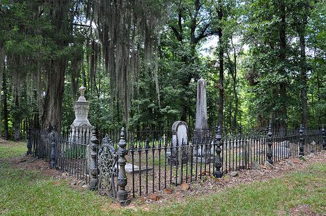 Richland Baptist Church Cemetery Twiggs County GA Historic Landmark Victorian Iron Fence Marble Obelisk Image Photograph Copyright Brian Brown Vanishing South Georgia USA 2013 Family Cemetery, Beautiful Cemetery, Cast Iron Fence, South Georgia, Georgia Usa, Moon Garden, Iron Fence, Memorial Garden, Baptist Church