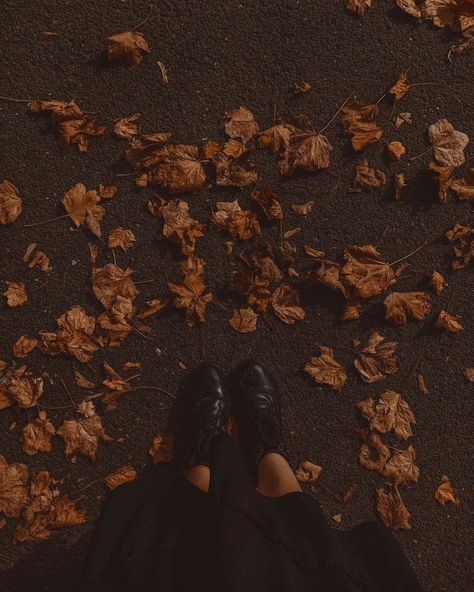 I love the combination of autumn and halloween 🎃🏵️ Family Photo Aesthetic Dark, Thanksgiving Family Aesthetic, Dark Thanksgiving Aesthetic, Halloween Romance Aesthetic, Creepy Autumn Aesthetic, Dark Orange Halloween Aesthetic, Pumpkin Dark Aesthetic, Autumn Black Cat Aesthetic, Romance