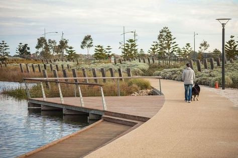 The wetland areas and parks feature walking paths and timber platforms leading to the water’s edge. Landscapes Architecture, Waterfront Design, House Garden Landscape, Landscape Gardening, Wetland Park, Landscaping Supplies, Landscape Architecture Design, Urban Landscapes, Landscape Plans