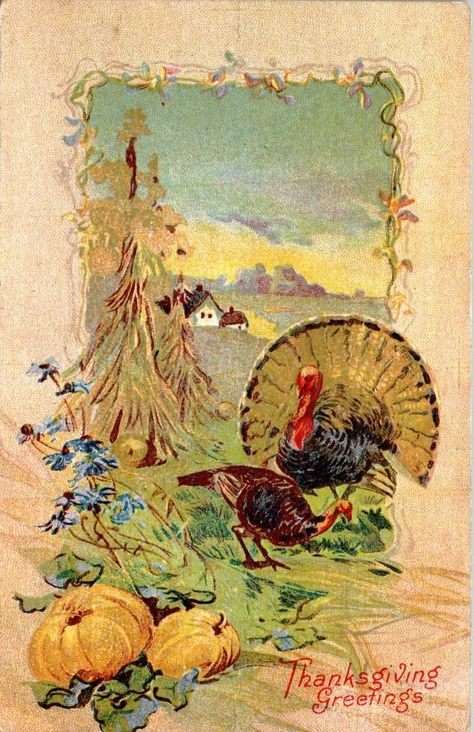 Thanksgiving Vintage Images, Thanksgiving Drawing Ideas, Thanksgiving Drawings, Thanksgiving Time, Thanksgiving Images, Holiday Images, Vintage Thanksgiving, Fall Pictures, Vintage Holiday