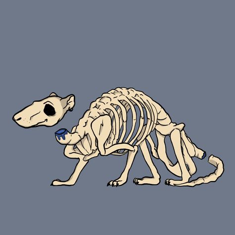 Rat Halloween Drawing, Skeleton Oc Drawing, Rat Skeleton Drawing, Rat Skeleton Tattoo, Rat Art Illustration, Rat Drawing Reference, Animal Skeleton Drawing, Cute Rats Drawing, Rat Drawn Cute