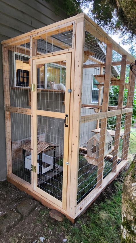 Diy Cat Cage Outdoor, Catio Plans How To Build, Diy Catios For Cats Window, Cat Enclosure Ideas, Cat Room Outdoor, Cat Set Up, Catios Ideas For Cats, Catio Patio, Iguana Enclosure