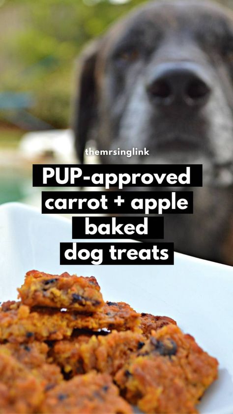 Shelf Stable Dog Treats, Apple Dog Treats, Baked Dog Treats, Pup Treats, Carrot Dogs, Doc Holiday, Pet Treats Recipes, Doggy Treats, Easy Dog Treat Recipes