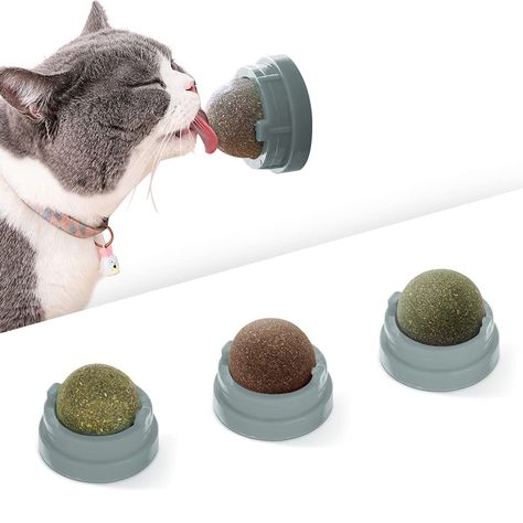 Potaroma 3 Silvervine Catnip Balls, Edible Kitty Toys for Cats Lick, Safe Healthy Kitten Chew Toys, Teeth Cleaning Dental Cat Cat Energy, Toys For Cats, Cat Window Perch, Cat Window, Kitten Toys, Natural Cat, Cleaning Toys, Interactive Cat Toys, Catnip Toys