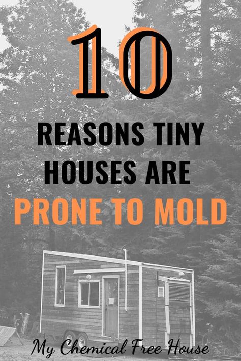 Mold Prevention, House Mold, Roof Sheathing, Tiny House Company, Build Your House, Expensive Houses, Roofing Systems, Tiny House On Wheels, My Chemical